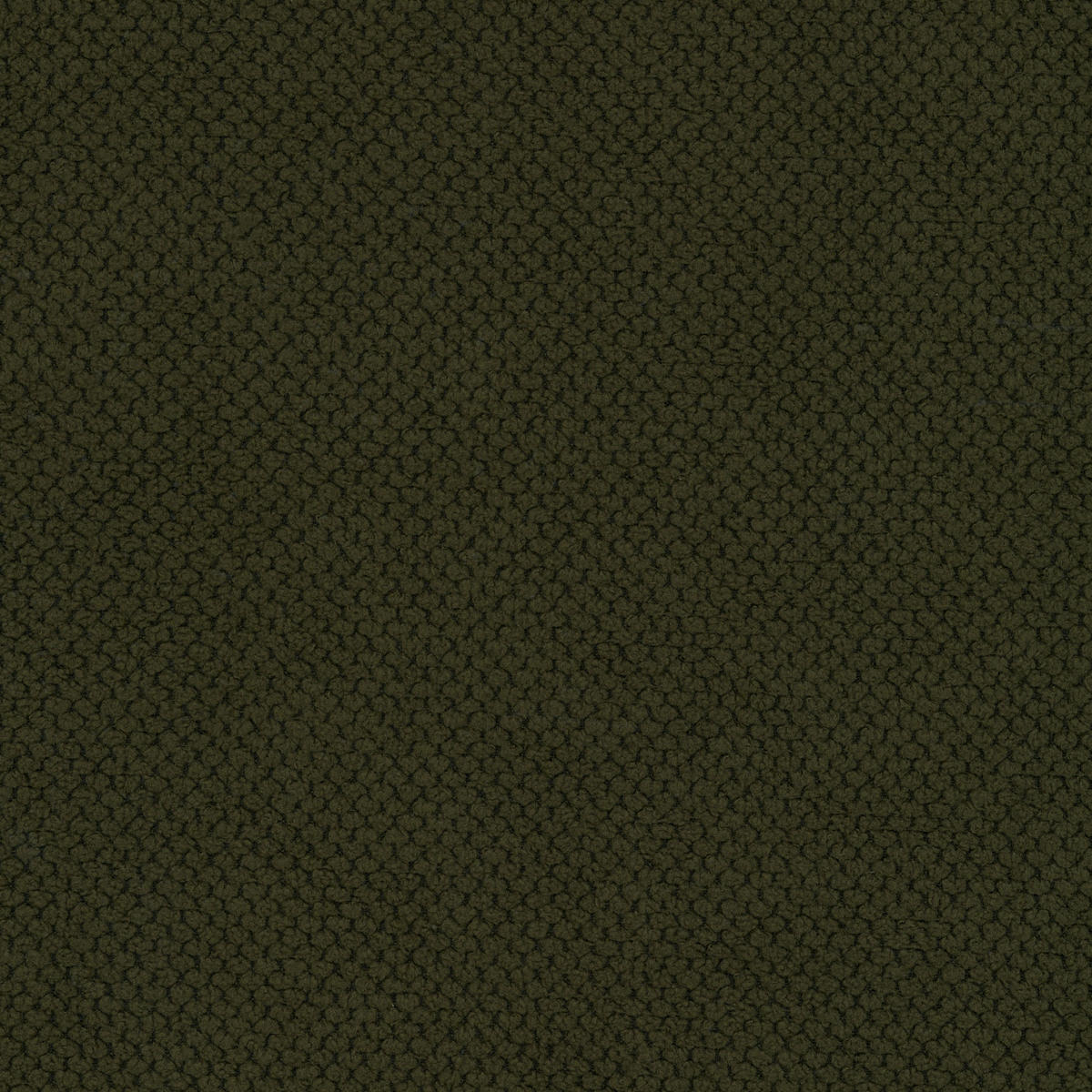 SOFA Molly – Freistehendes halbrundes Designsofa mit zwei eleganten, abnehmbaren RückenKissen, Curio Stoff, Größe: 234x101x88 cm, Grün - Waldgrün, Holz/Textil (234/88/101cm) - DomoHome
