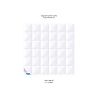 WINTERBETTDECKE EXQUISIT Gänsedaunen extra warm - Weiß, Naturmaterialien/Textil (200/200cm) - Böhmerwald