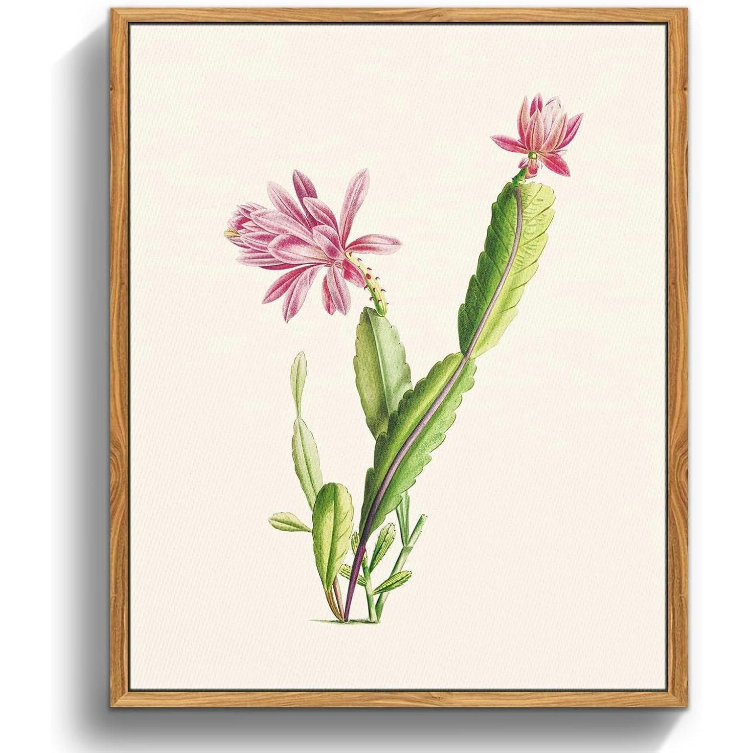 LEINWANDBILD mit Rahmen Botanisch Rosa Kaktus 20 x 25 cm - Rosa, Holz (20/0.5cm)