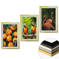 WANDBILDER 3er Set - 40x60 cm Goldrahmen - Fruchtige Akzente in den Tropen - Goldfarben, Kunststoff (40/60cm) - ArtPrintCave