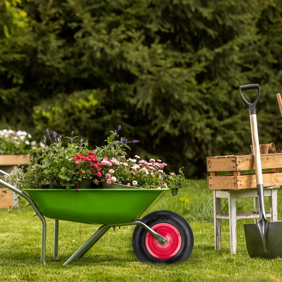 SCHUBKARRENRAD - Multicolor, Kunststoff/Metall (31/31/9cm) - Relaxdays