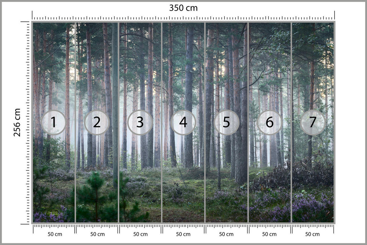 FOTOTAPETA Pre Obývaciu Izbu Hmlový Les So Stromami Mach Zelená 350 x 256 cm - sivá/zelená, papier (350/256cm) - Muralo