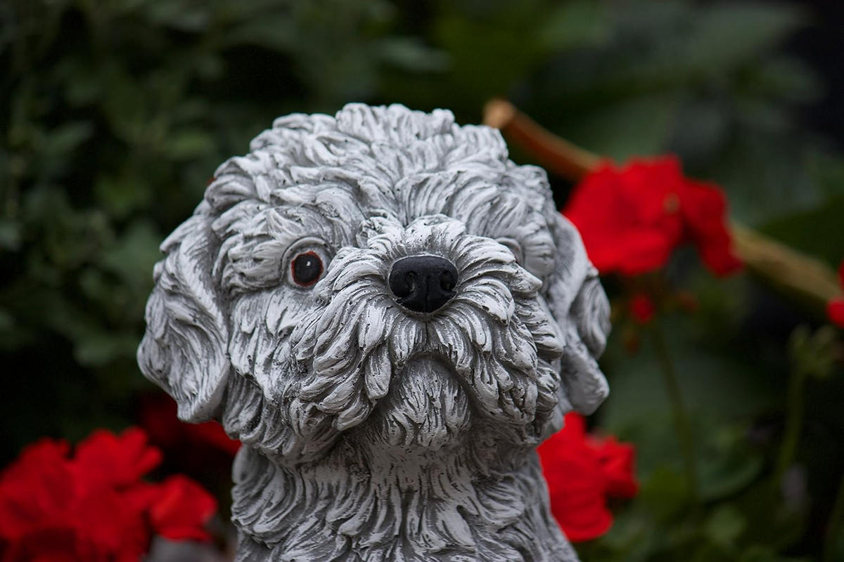 STEINFIGUR Hund Shih Tzu frostfest massiver Steinguss - Grau, Stein (20/30/21cm) - stoneandstyle