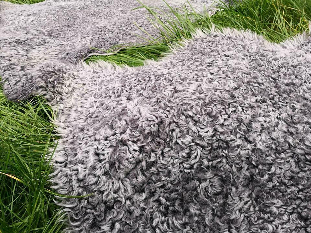 SCHAFFELL Gotland Kurzlockig Grau, ca. 110 cm - Grau, Fell (60/110cm) - Provellus