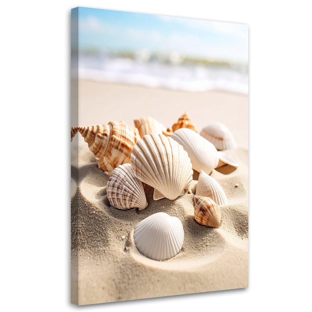 LEINWANDBILD Muscheln Strand Natur beige 80x120cm - Beige, Textil (80/120cm) - Feeby