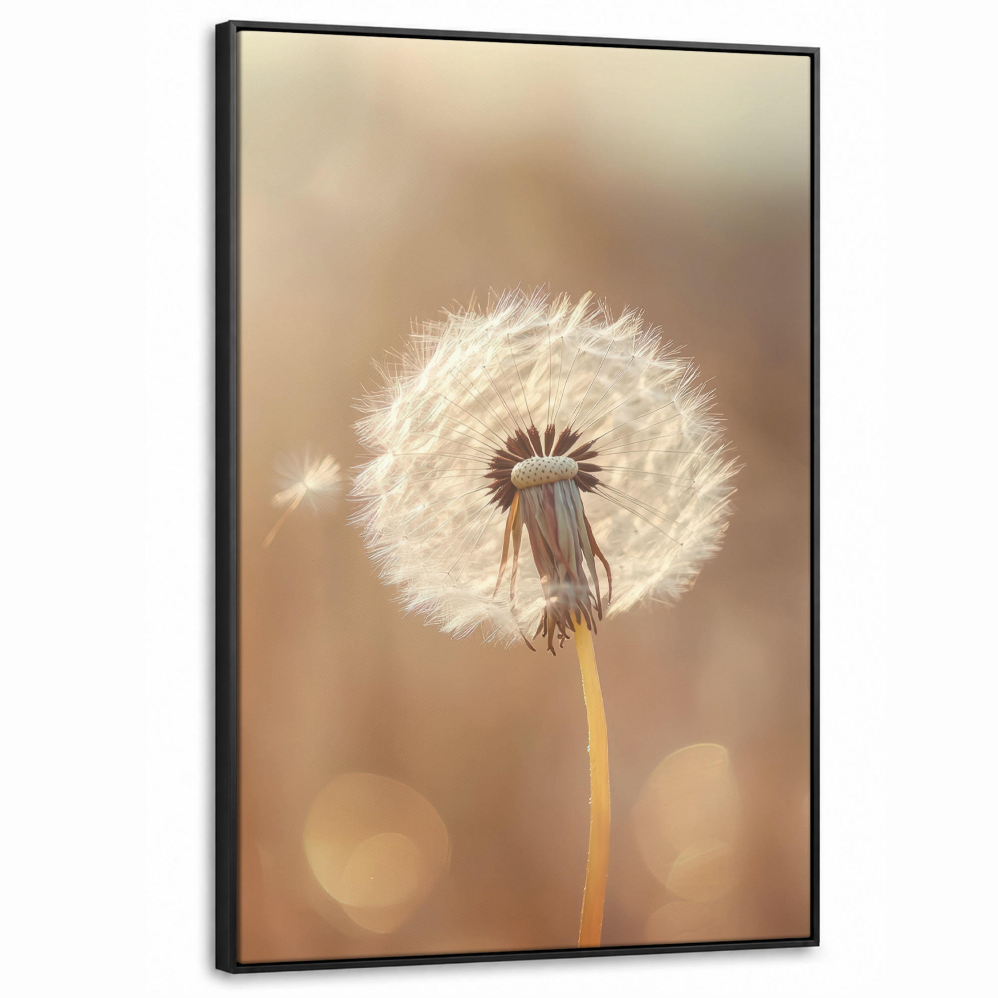 MuchoWow Leinwand Hellbraun 100x150 cm