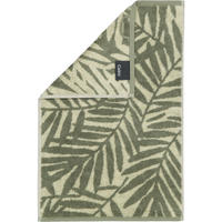 GÄSTETUCH MAISON BLÄTTER 6267 FIELD - 44 - Grün, Textil (30/50cm) - Cawoe