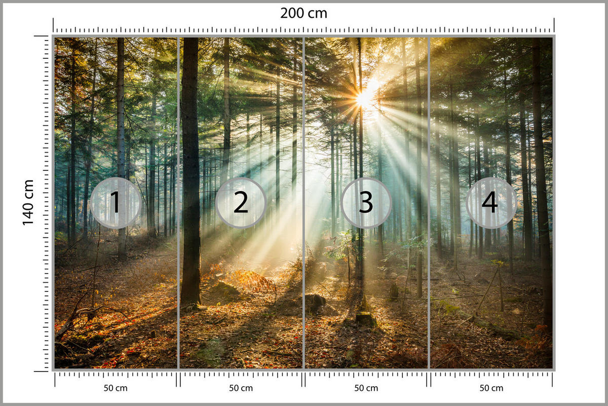 FOTOTAPETA Pre Obývaciu Izbu Jesenný Les Západ Slnka Stromy Príroda 200 x 140 cm - oranžová/hnedá, papier (200/140cm) - Muralo