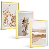 BILDER SET 3er Set - 40x60 cm Goldrahmen - Rustikale Boho-Blumenmotive - Goldfarben, Kunststoff (40/60cm) - TULUP