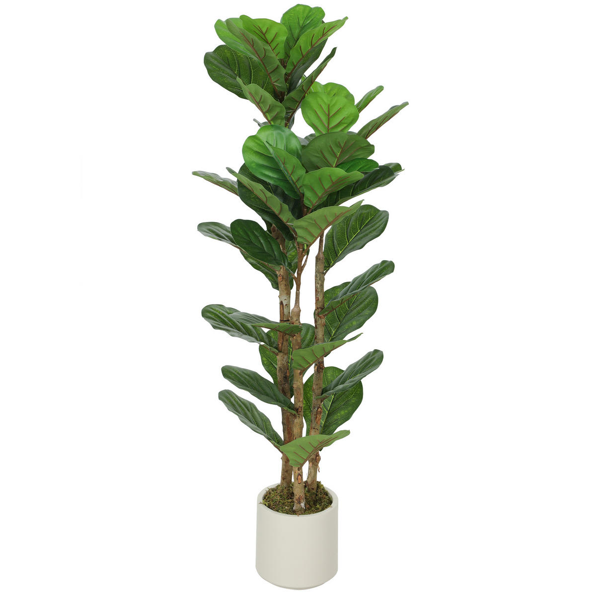 KUNSTPFLANZE DE-16633 120 cm, massiver Holzstamm Grün - Grün, Kunststoff (120cm) - ComfortXL