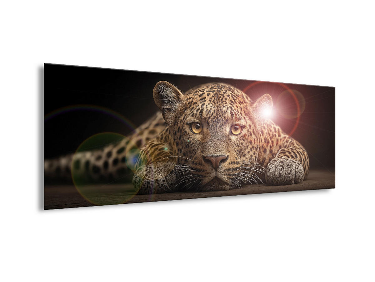 GLASBILD 80x30 cm Leopard Raubkatze - Beige, Glas (80/30cm) - artissimo