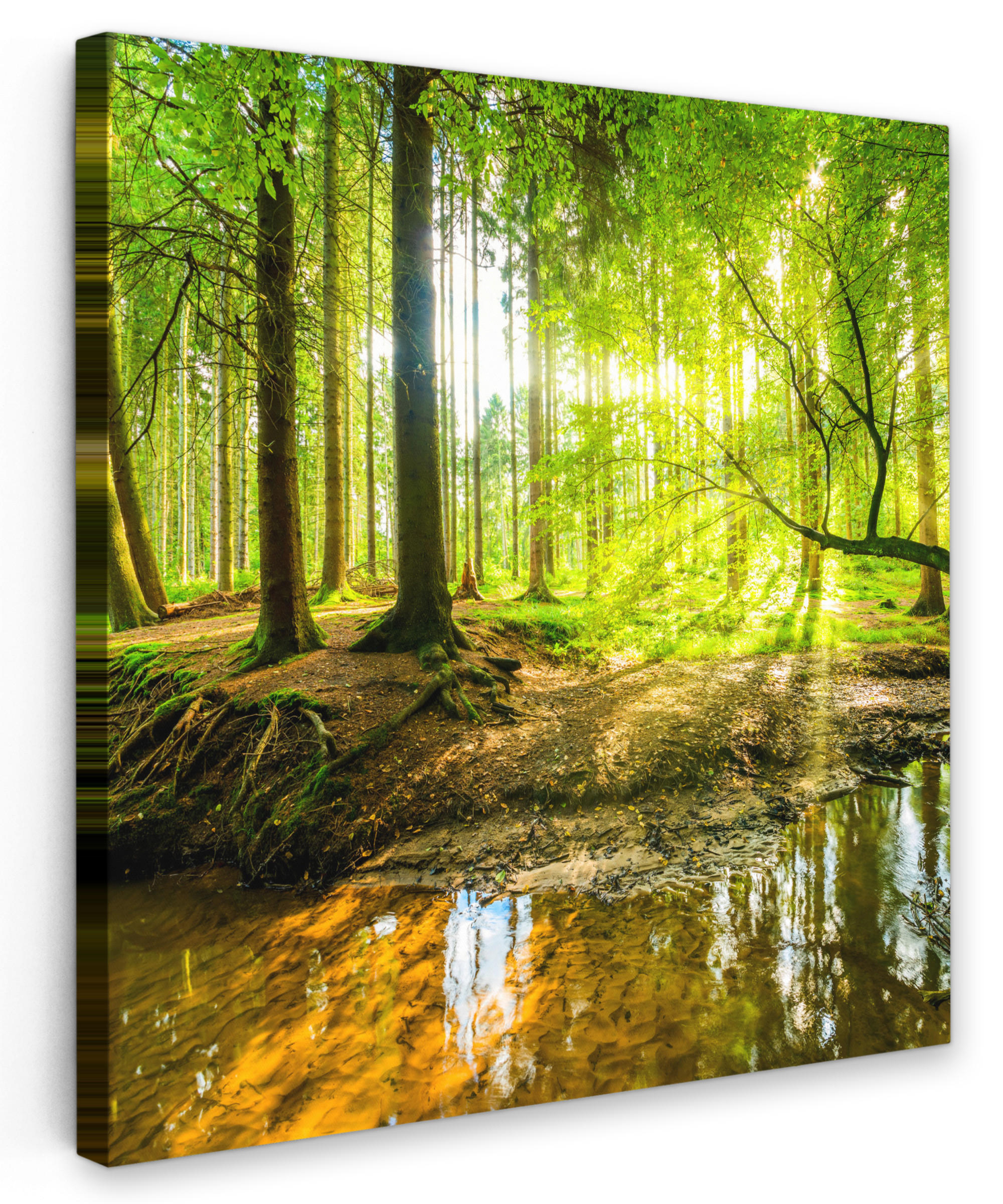 LEINWANDBILD Wald - Landschaft - Wasser - Bäume - Sonne - Grün - Natur 20x20 cm - Grün, Textil (20/20cm) - MuchoWow