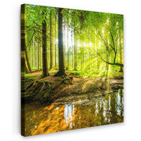 LEINWANDBILD Wald - Landschaft - Wasser - Bäume - Sonne - Grün - Natur 50x50 cm - Grün, Textil (50/50cm) - MuchoWow