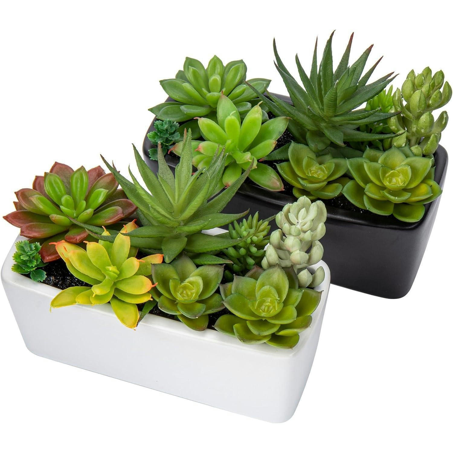 KUNSTPFLANZEN-SET 2-teilig Sukkulenten im Keramiktopf 14 cm - Multicolor, Keramik (16cm)