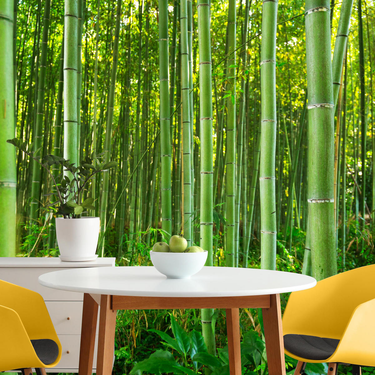 FOTOTAPETA Bambusový Les Rastliny Príroda 3D 150 x 105 cm - žltá/zelená, papier (150/105cm) - Muralo