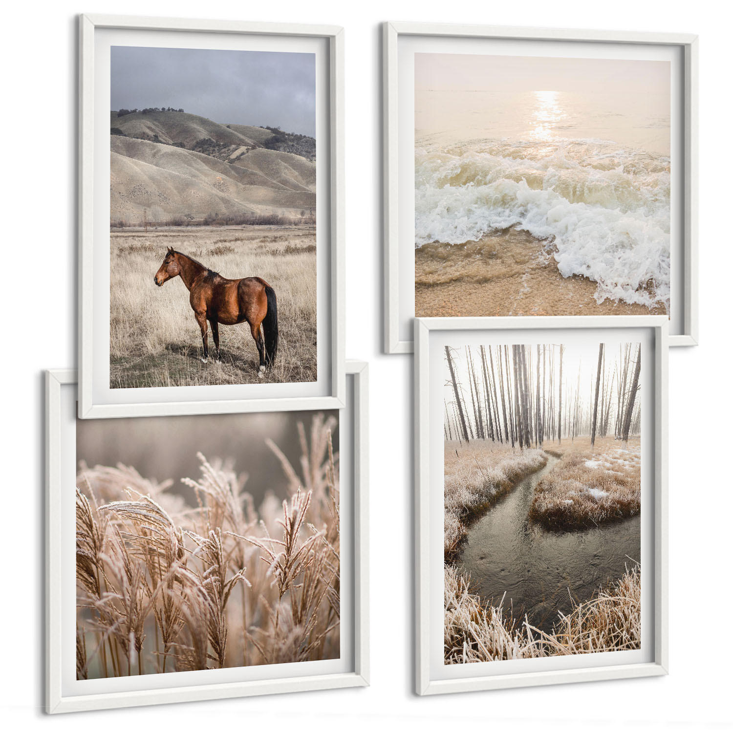 BILDER SET 4er Set - 50x50 cm & 40x60 cm Weißer Rahmen - Pferdelandschaft Seegraswald - Weiß, Kunststoff (50/50cm) - TULUP