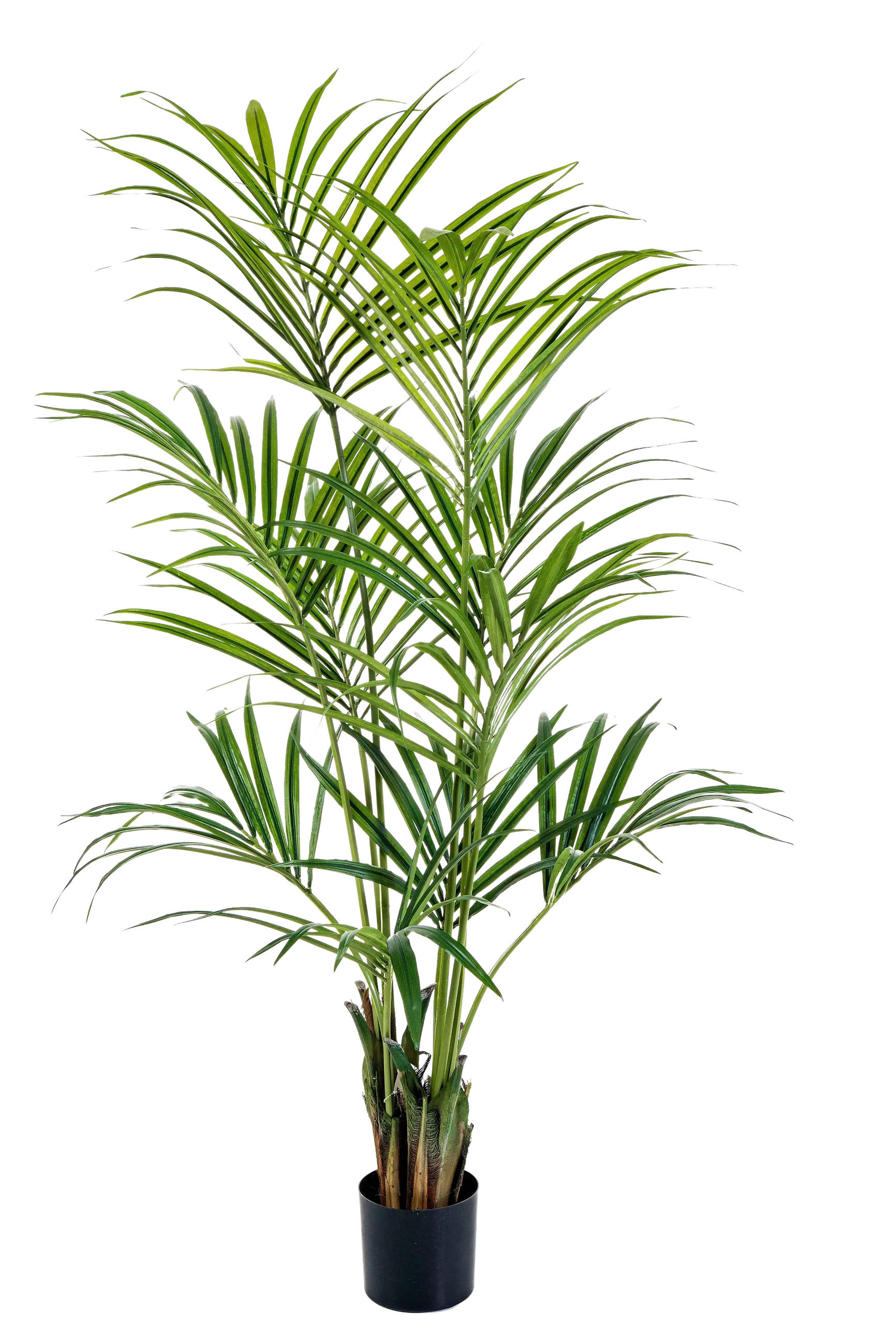 KUNSTBAUM Künstliche Kentia Palme - Cataleya 172 cm - Grün, Kunststoff (172cm) - aplanta