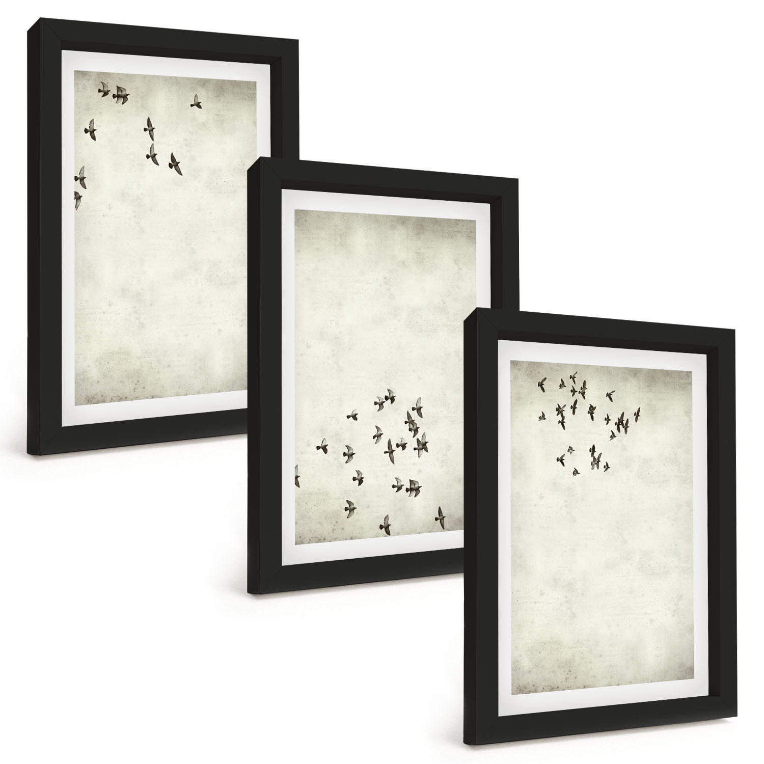 BILDER SET 3er Set - 20x30 cm Schwarzer Rahmen - Minimalistische Vogelmalerei - Schwarz, Kunststoff (20/30cm) - TULUP