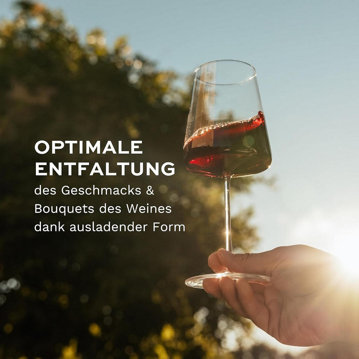 ROTWEINKELCH Power Set 12tlg - Transparent, Glas (0.52L) - Stölzle