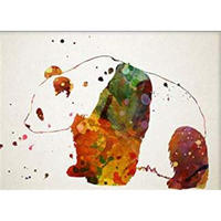 POSTER Specht Aquarell-Stil A4 Rahmenlos - Klar, Papier (29.7/5/21cm) - Nacnic