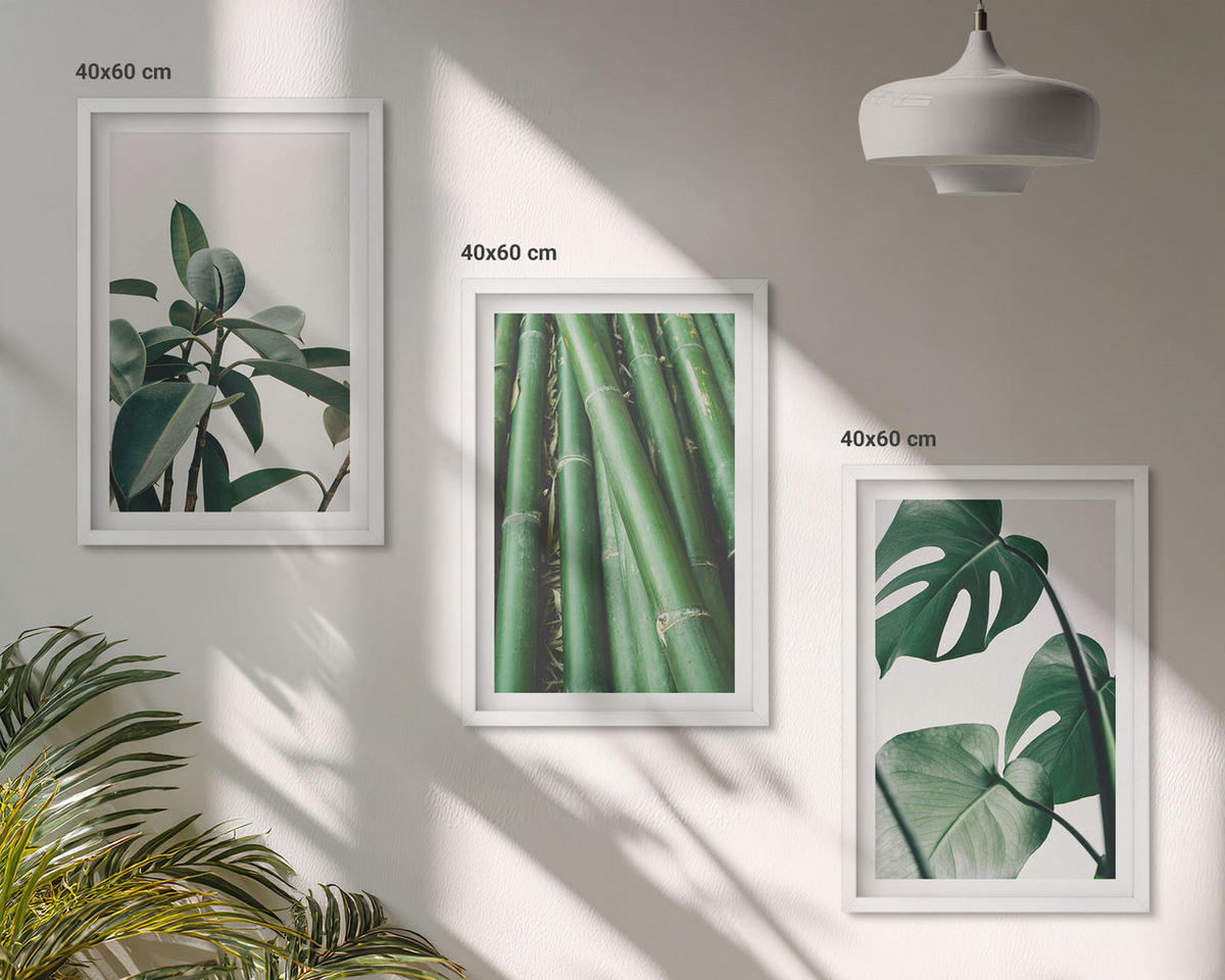 BILDER SET 3er Set - 40x60 cm Weißer Rahmen - Bambusstängel und Monstera-Blätter - Weiß, Kunststoff (40/60cm) - TULUP