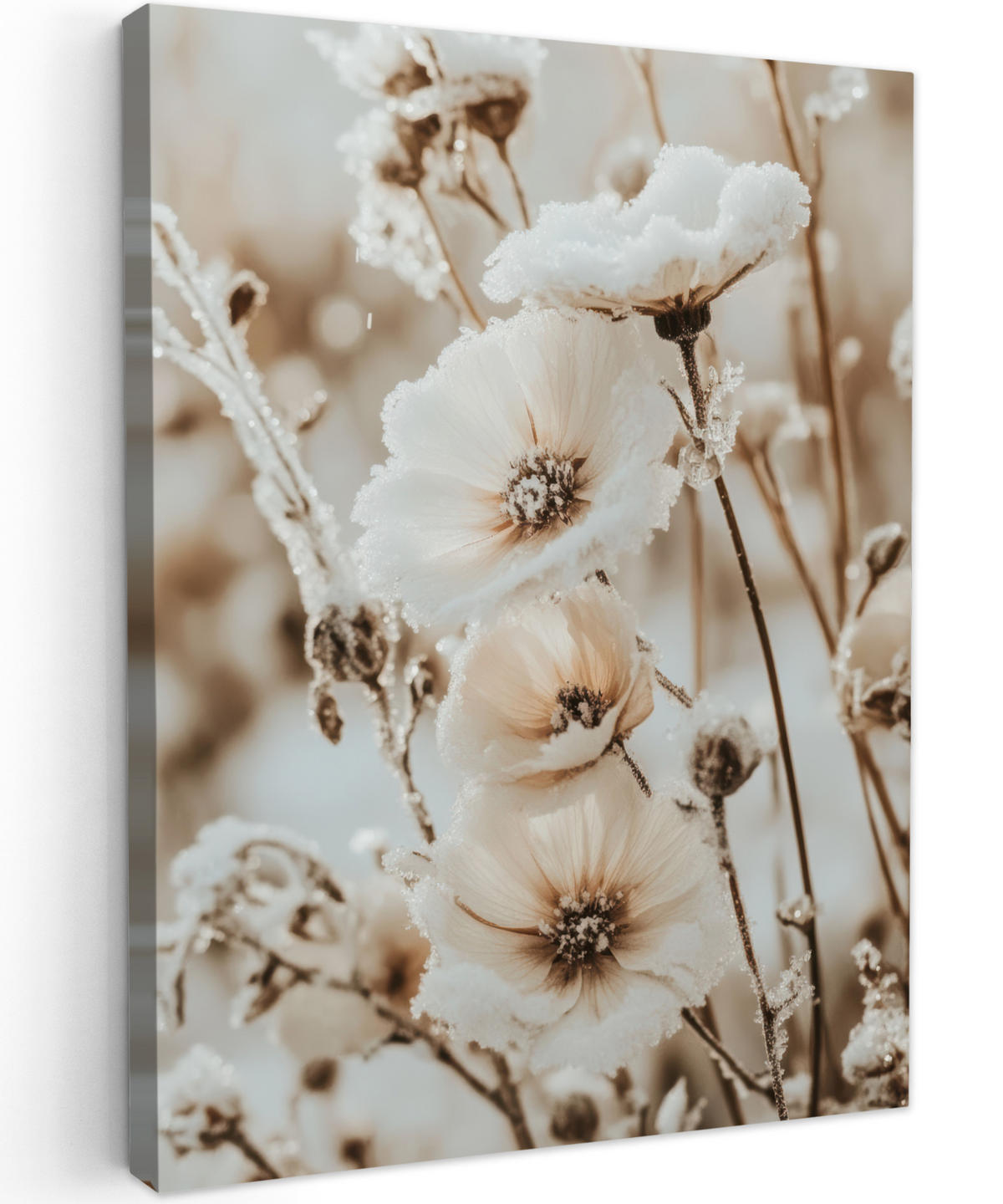 LEINWANDBILD Blumen - Winter - Weiß - Schnee - Beige 60x80 cm - Creme, Textil (60/80cm) - MuchoWow