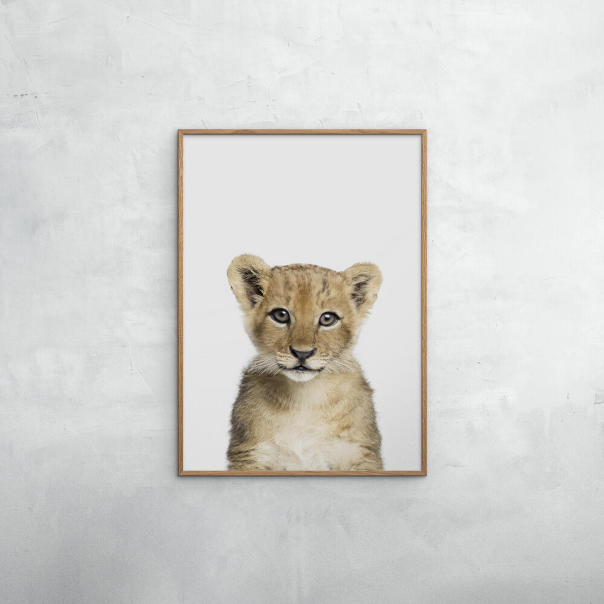 POSTER mit Rahmen Kathrin Pienaar - Baby Lion - Eichefarben/Weiß, Holz/Papier (50/70cm) - Poster&Frame