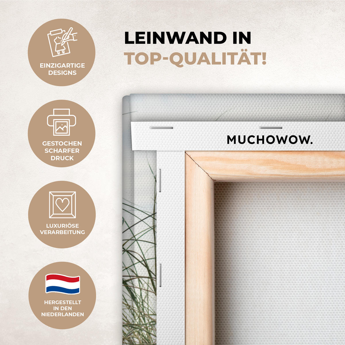 LEINWANDBILD Dünen mit Strandhafer in der Sonne des Nationalparks Schleswig-Holsteinisches Wattenmeer 50x50 cm - Creme, Textil (50/50cm) - MuchoWow