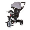 DREIRAD Be Active 2 in 1 grau Sitz drehbar Musik Licht drehbar - Grau, Metall (117/50/96cm) - Chipolino