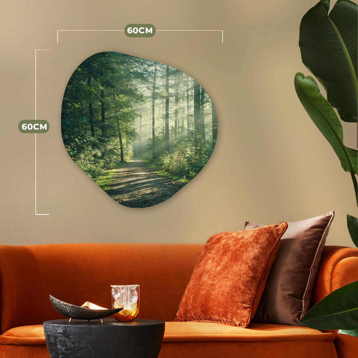 WANDBILD Wald - Weg - Sonne - Bäume - Grün - Natur 60x60 cm - Waldgrün, Kunststoff (60/60cm) - MuchoWow