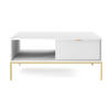 COUCHTISCH Vellore Weiß mit goldenen Metallbeinen 104/68/46 cm - Goldfarben/Weiß, Holzwerkstoff/Metall (68/104/46cm) - Selsey