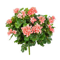 KUNSTPFLANZE Künstliche Geranie - Adrian 35 cm - Grün, Kunststoff (35cm) - aplanta