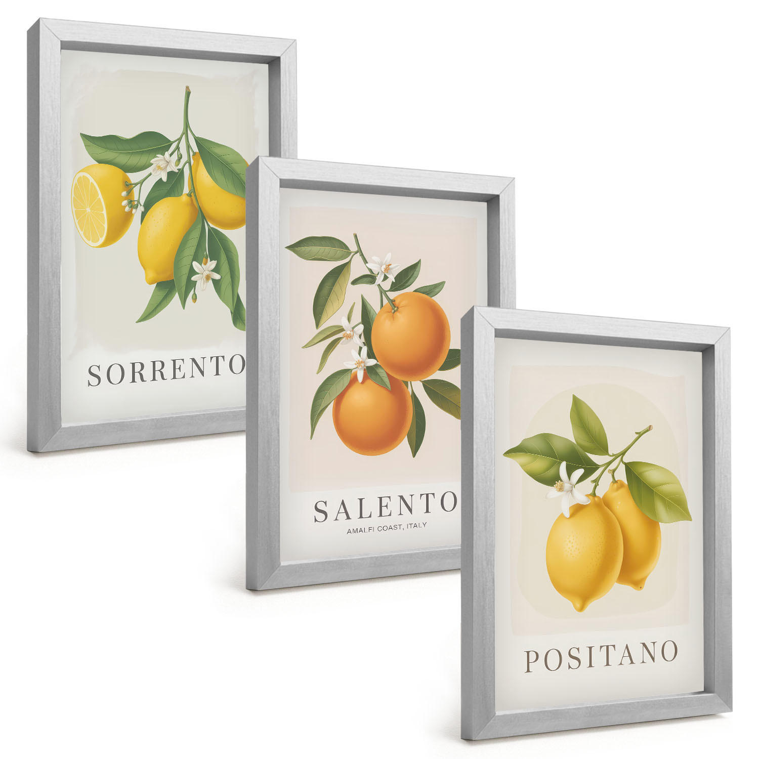 BILDER SET 3er Set - 20x30 cm Silberner Rahmen - Amalfi-Zitronen und -Orangen - Silberfarben, Kunststoff (20/30cm) - TULUP