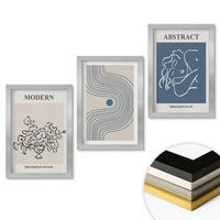 WANDBILDER 3er Set - 20x30 cm Silberner Rahmen - abstrakte Poster mit Blumenlinien - Silberfarben, Kunststoff (20/30cm) - ArtPrintCave