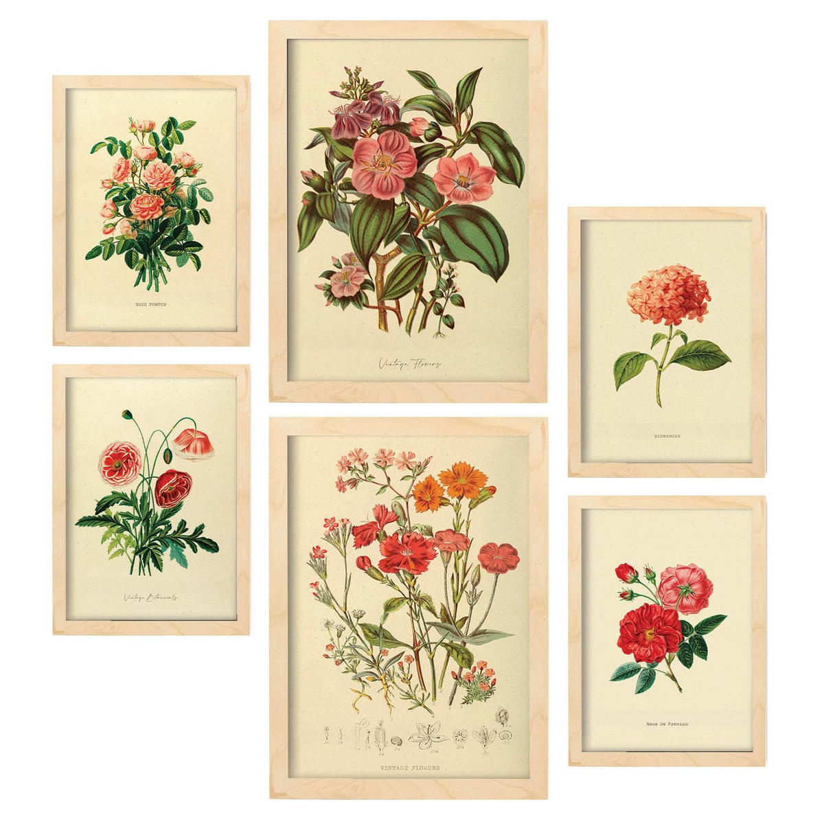 POSTER Set Mit 6 Rosenrosa Blumen In Vintage A3 & A4 Rahmen Aus Hellem Holz - Beige, Papier (29/3cm) - Nacnic