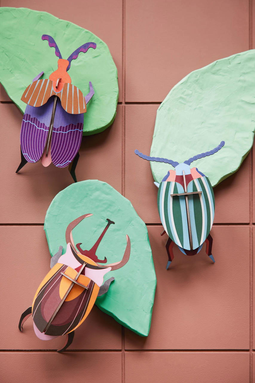WANDDEKO Königin-Käfer 8/5 cm - Lila/Multicolor, Wellpappe (8/5/17cm) - KUNSTLOFT