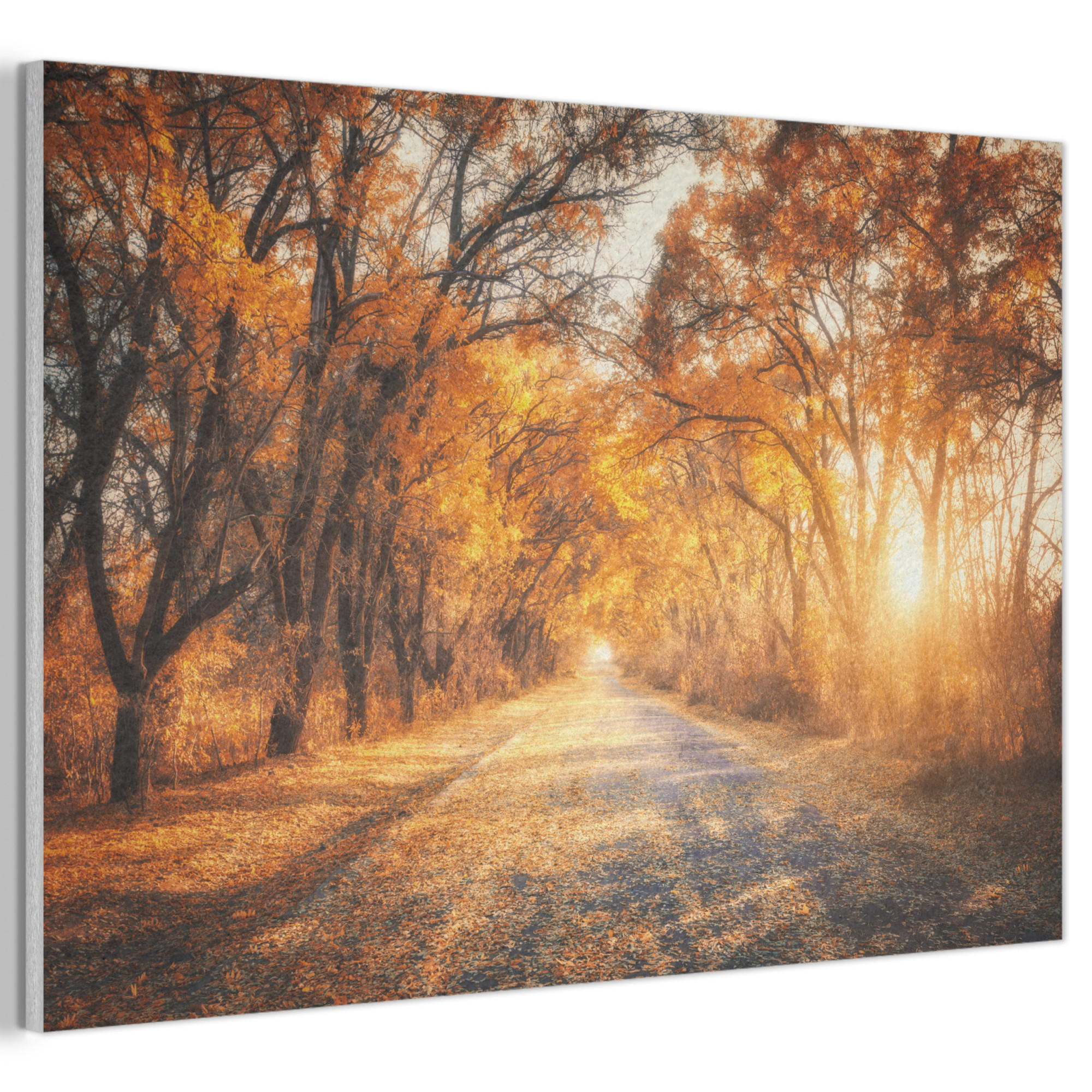 AKUSTIKBILD Wald - Herbst - Bäume - Waldweg - Natur Akustikpaneele 90x60 cm - Bernsteinfarben, Kunststoff (90/60/0.9cm) - MuchoWow