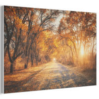 AKUSTIKBILD Wald - Herbst - Bäume - Waldweg - Natur Akustikpaneele 90x60 cm - Bernsteinfarben, Kunststoff (90/60/0.9cm) - MuchoWow