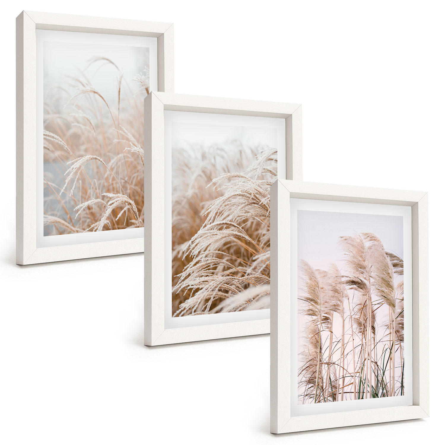 BILDER SET 3er Set - 20x30 cm Weißer Rahmen - Grasflächen in Braun- und Beigetönen - Weiß, Kunststoff (20/30cm) - TULUP