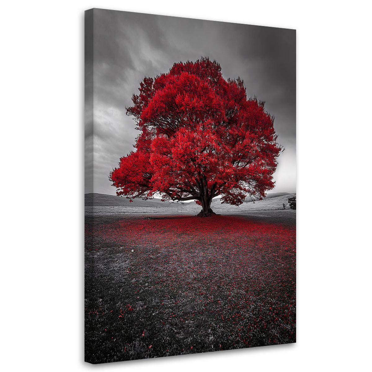 LEINWANDBILD Moderne Landschaft mit rotem Baum 60x90cm - Grau, Textil (60/90cm) - Feeby