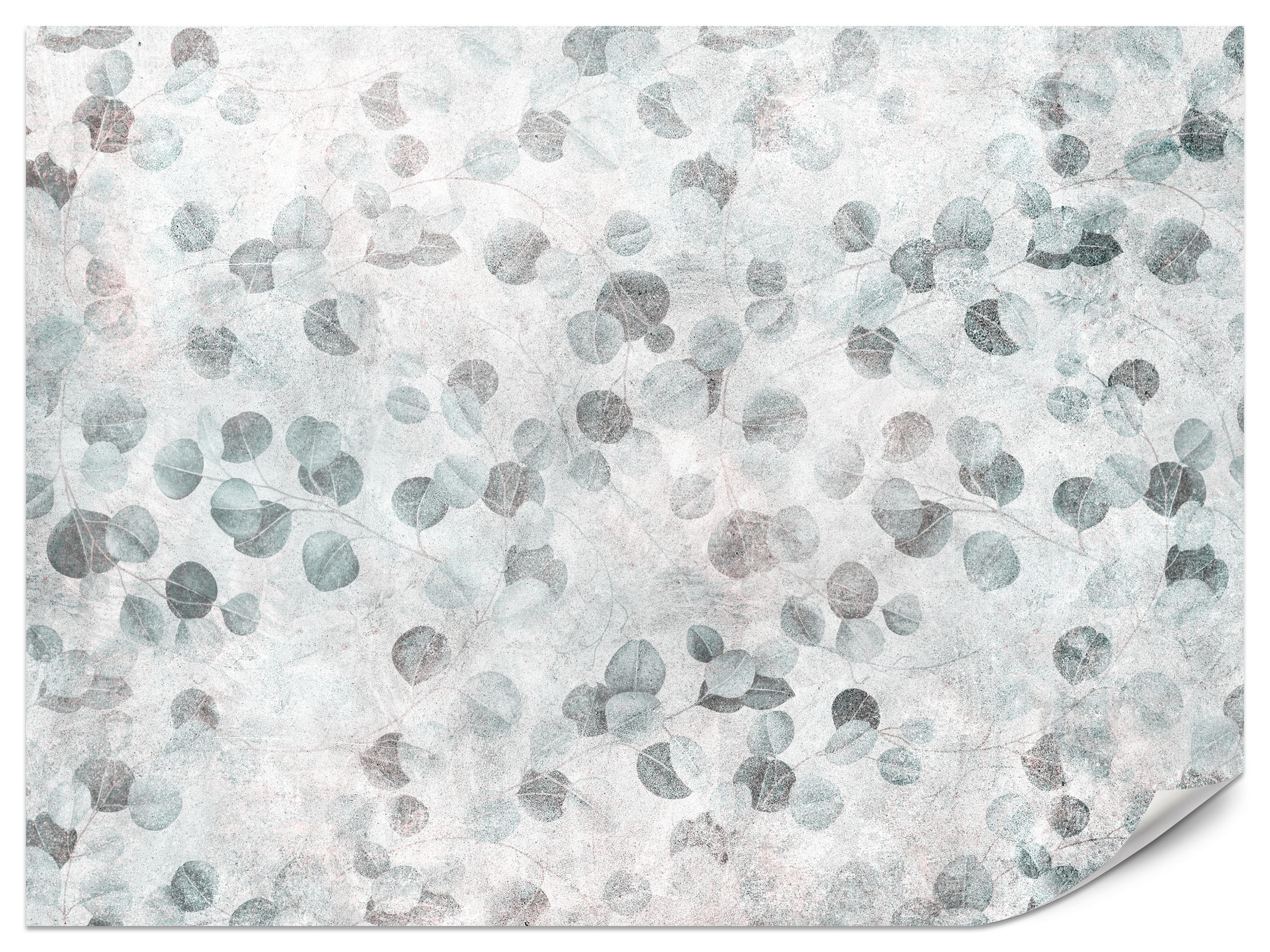 FOTOTAPETE für Küche Eukalyptus Blätter Beton Pflanzen Vintage Grau 250x175 - Grau, Papier (250/175cm) - Muralo