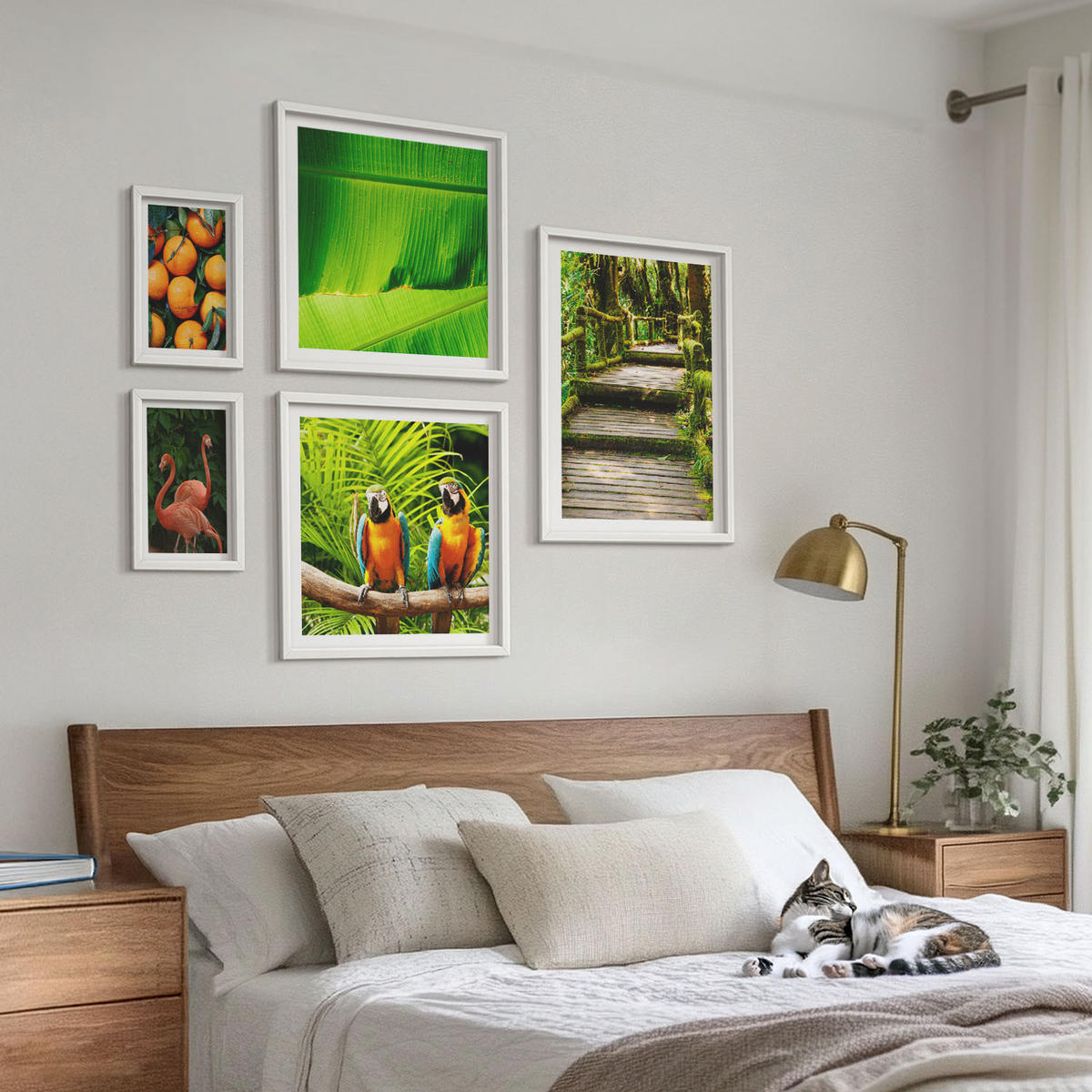 WANDBILDER 5er-Set - 50x50 cm & 20x30 cm & 40x60 cm Weißer Rahmen - Fruchtige Akzente der Tropen - Weiß, Kunststoff (40/60cm) - ArtPrintCave