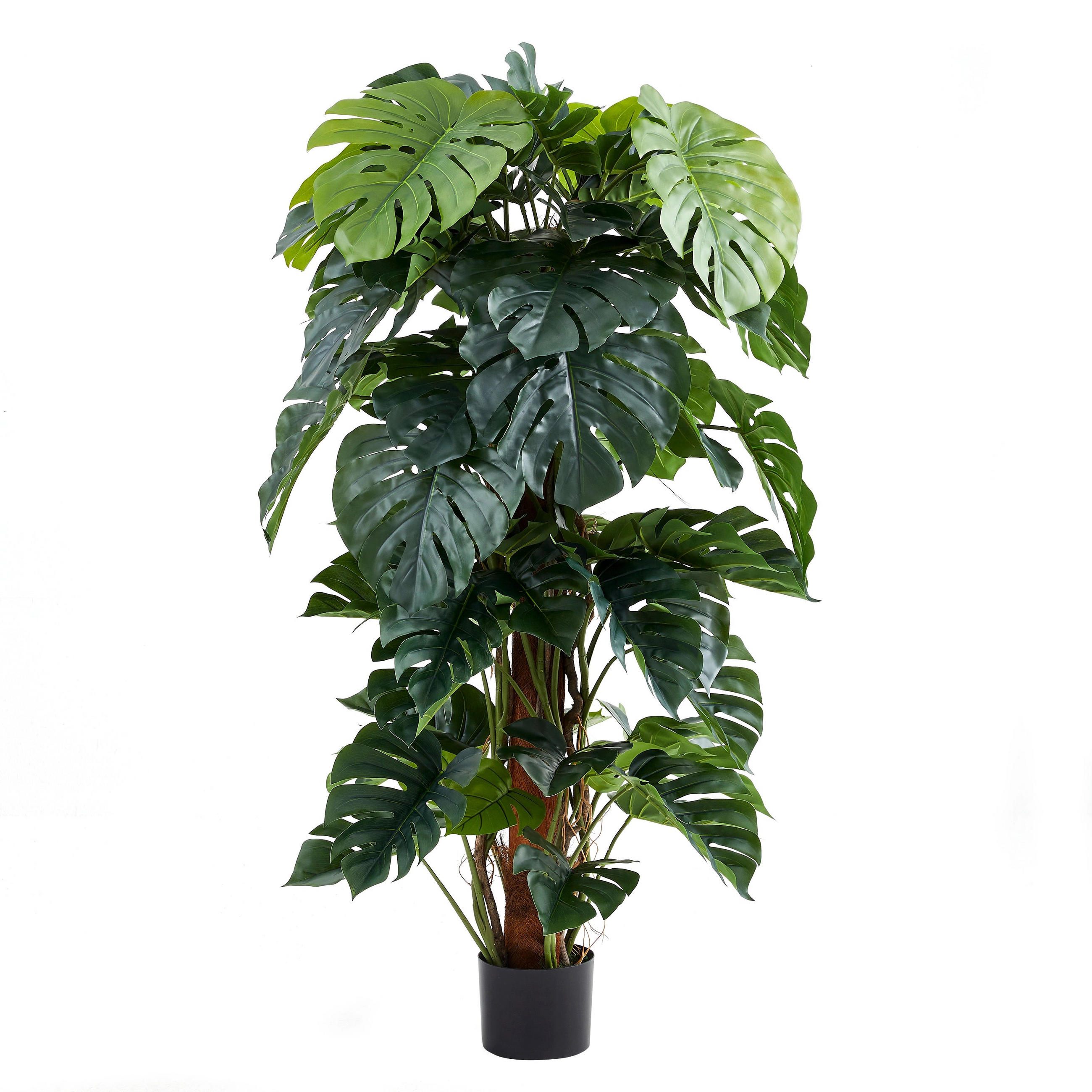 KUNSTPFLANZE Künstlicher Split-Philodendron – Zephira 160 cm - Grün, Kunststoff (160cm) - aplanta