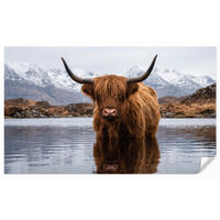 TAPETE - Schottischer Hochländer - Braun - Wasser - 400x240 cm - Braun, Papier (400/240cm) - OnlyWow