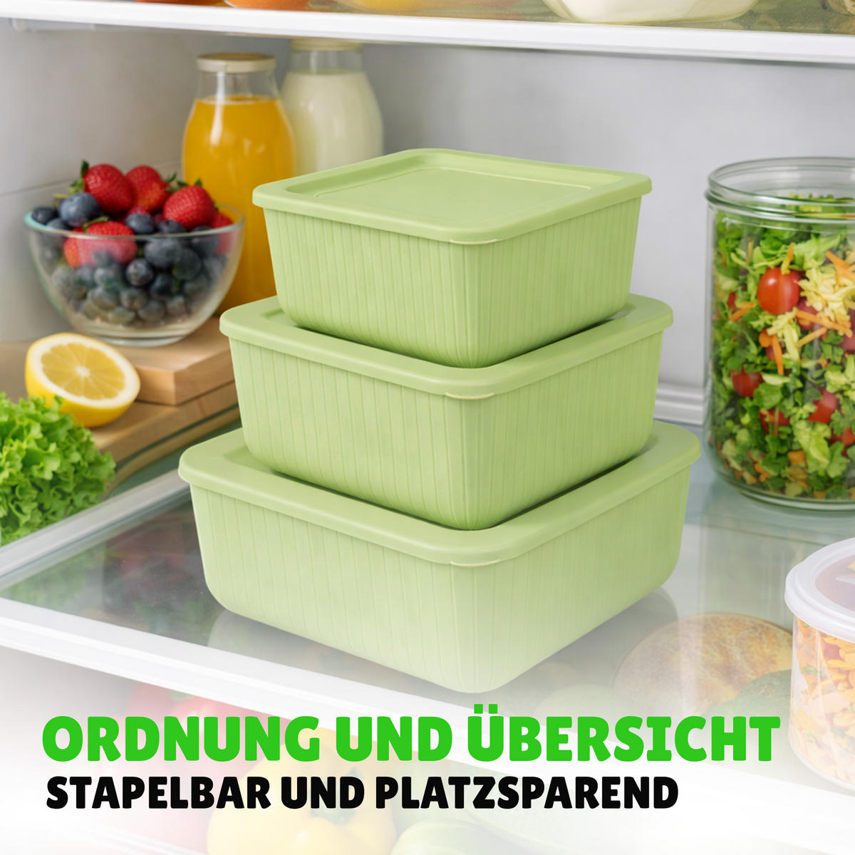 VORRATSDOSEN 3-teilig 0,5L/1L/1,5L Grün - Grün, Kunststoff - ProHome