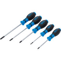 SCHRAUBENDREHER-SATZ | 5-TLG. - Multicolor, Kunststoff/Metall (1/1cm) - BGS technic