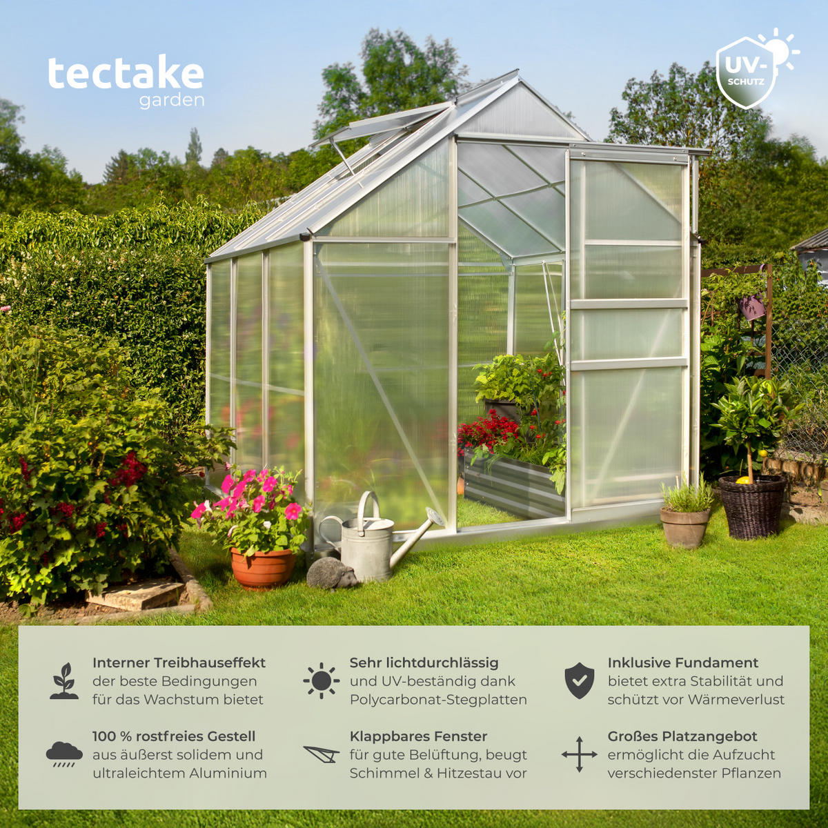 GEWÄCHSHAUS MIT FUNDAMENT, 185 x 190 x 195 cm,transparent - Transparent, Metall (185/195/190cm) - tectake