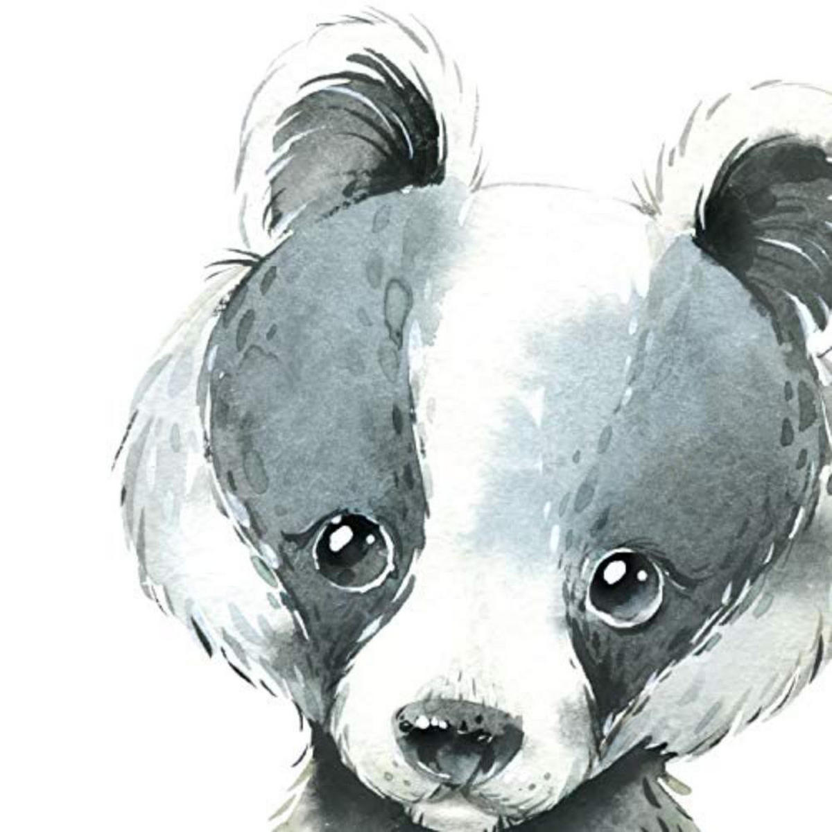 POSTER Set mit 4 Karte Zebra Pferd und Hirsch A4 Rahmenlos - Klar, Papier (29.7/3cm) - Nacnic