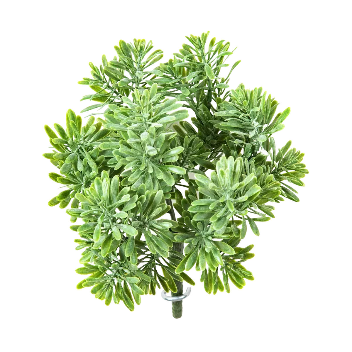 GEISKRAUT Künstliches Greiskraut - Henrike 18 cm - Grün, Kunststoff (18cm) - aplanta