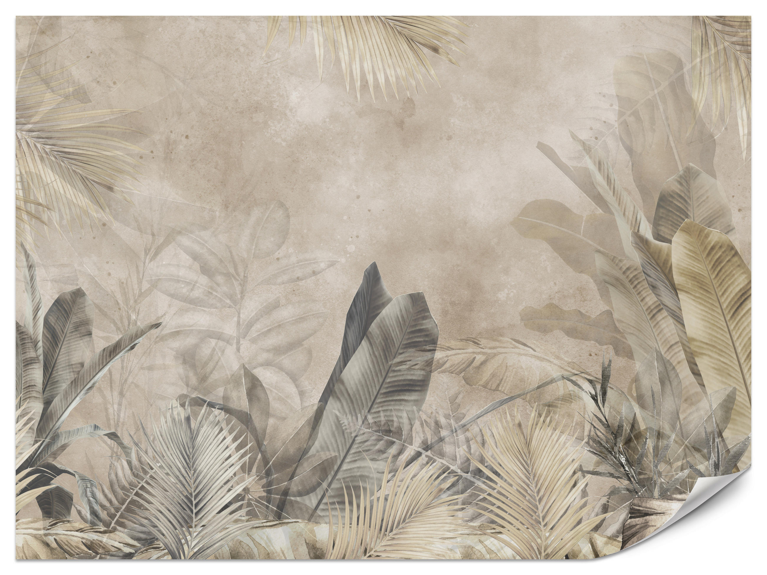 FOTOTAPETE für Schlafzimmer Bananenblätter auf Beton Tropisch Beige 150x105 - Beige/Braun, Papier (150/105cm) - Muralo
